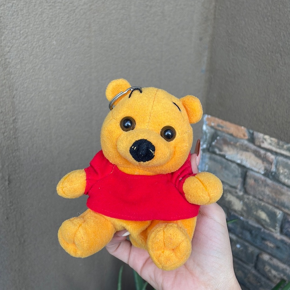 Winnie the Pooh coin purse with keychain